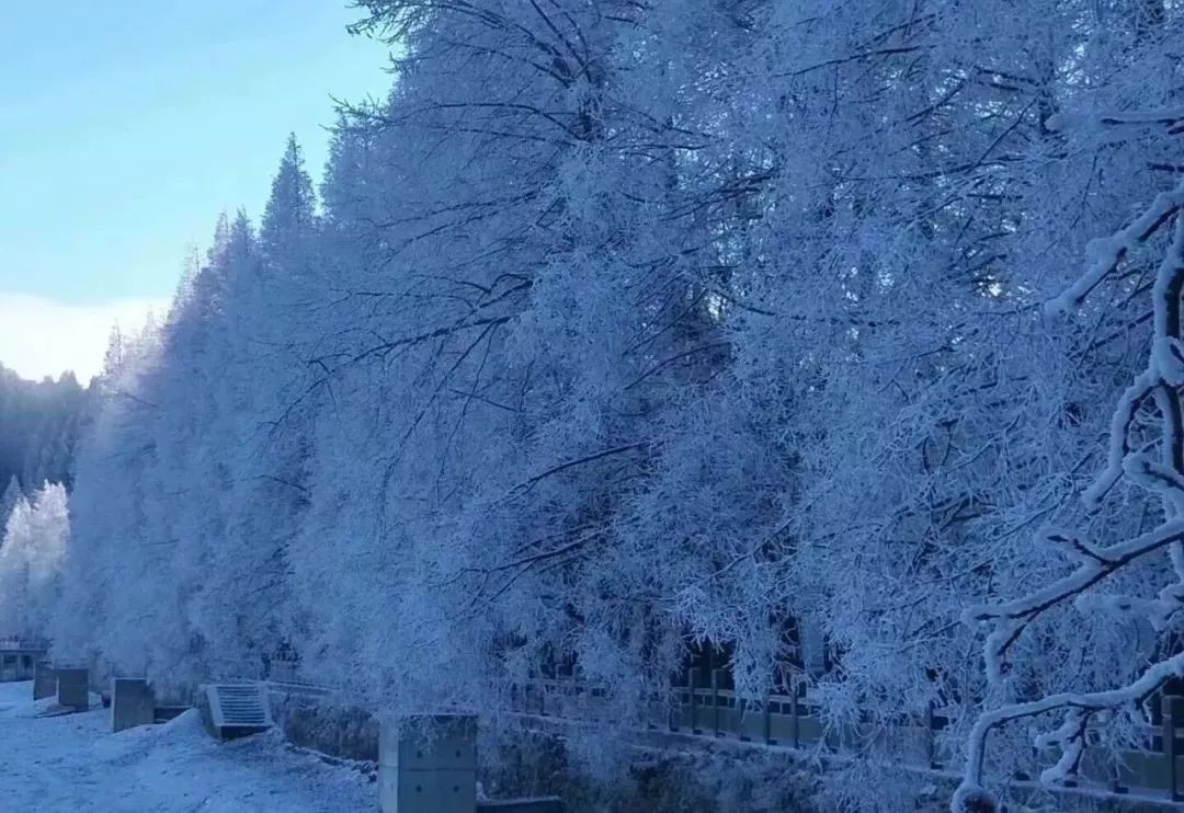 九宫山滑雪场自驾游攻略图,九宫山滑雪教学视频