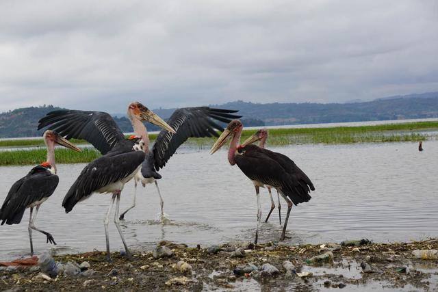 走进非洲：不要带着有色眼镜去看非洲，去之前你需要知道的那些事