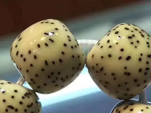 星月奶油黄是怎么回事,星月有包浆后盘玩时是什么感觉