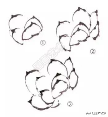 荷花的画法和步骤图解,最简单的荷花画法一学就会