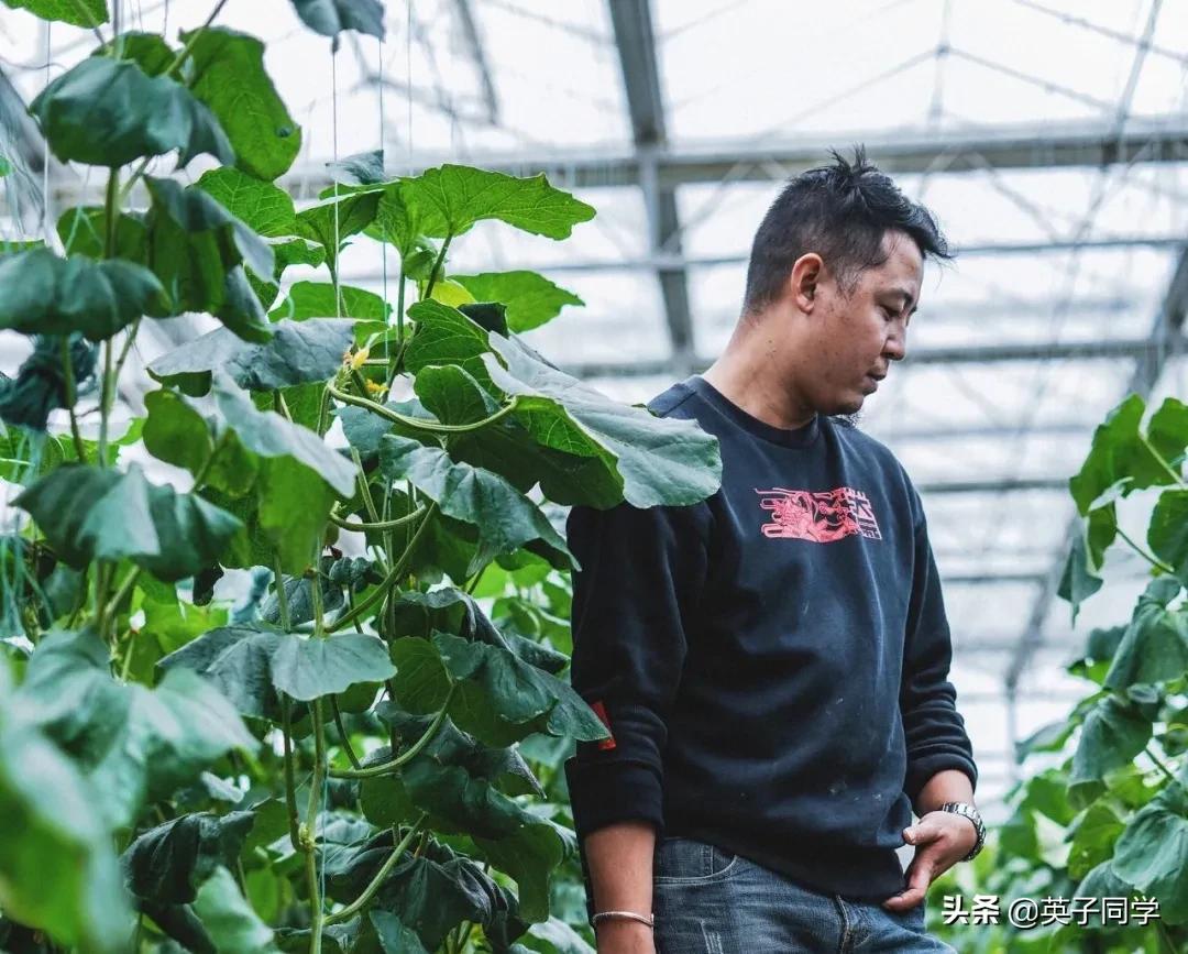 南昌生态谷智慧农场采摘,南昌亲子采摘踏青