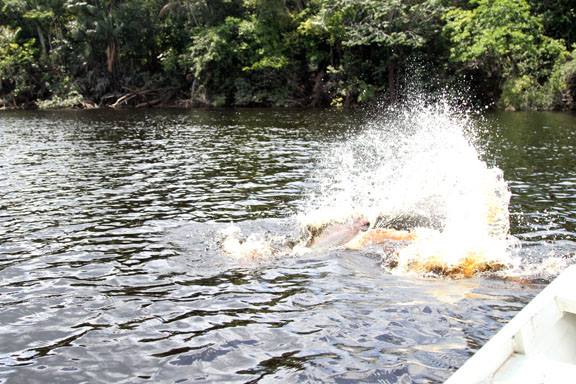 盘点钓鱼中钓出很奇葩鱼,盘点钓鱼钓出稀奇古怪的东西
