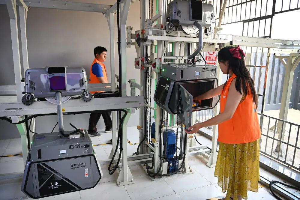 智运快线视频,智运快线怎么样了