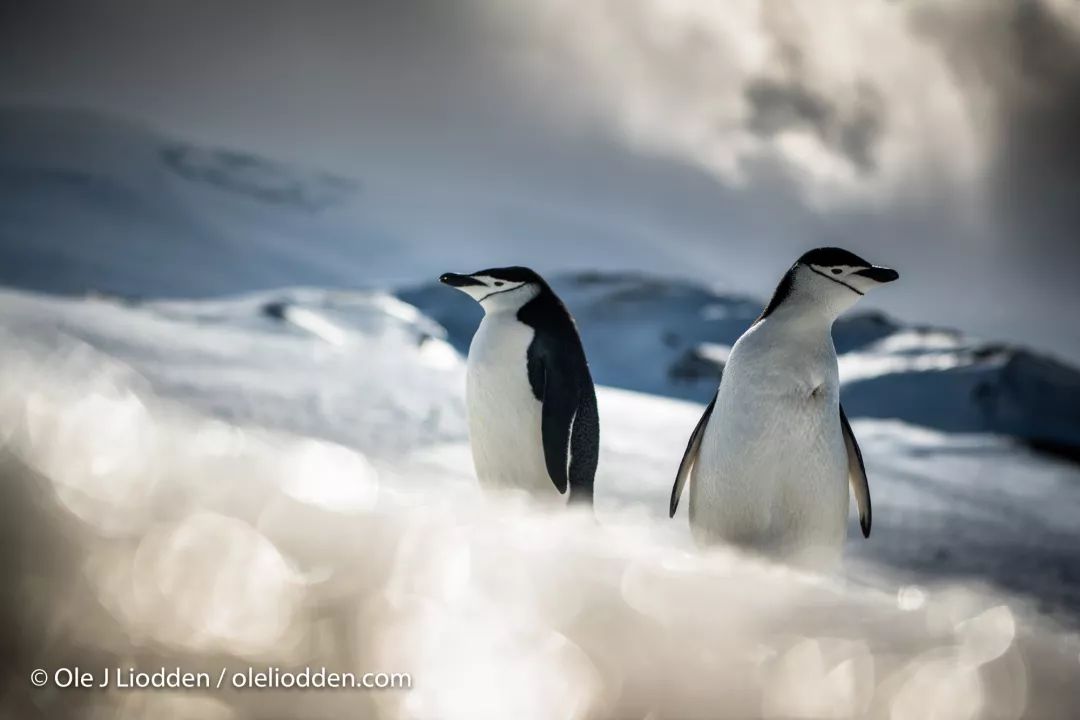 汇率起起伏伏，自然旅行跟着这张表格走，最划算
