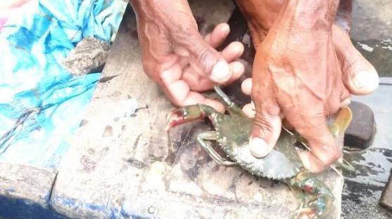 看看印度人是怎么吃方便面的,看看印度人是怎么吃的