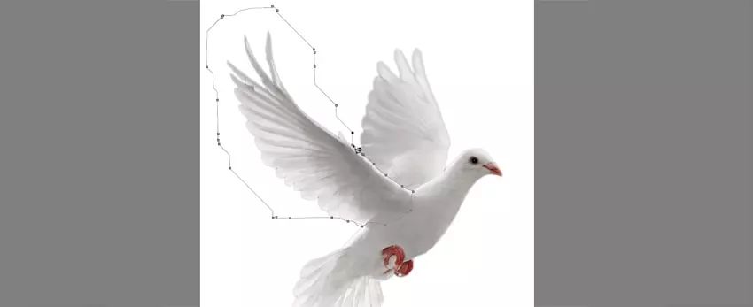 ps小猪怎么做,ps怎么合成驴子