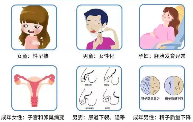 好用进口文具推荐,如何选择比较好的文具