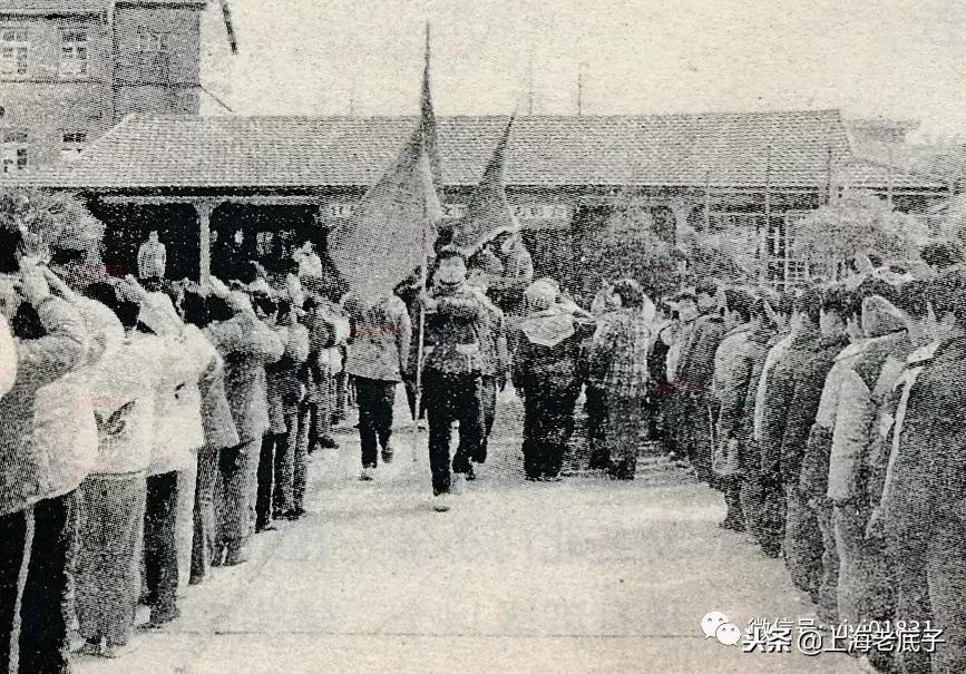 「川沙县篇」回望上世纪八九十年代的上海学校，有侬的母校伐？