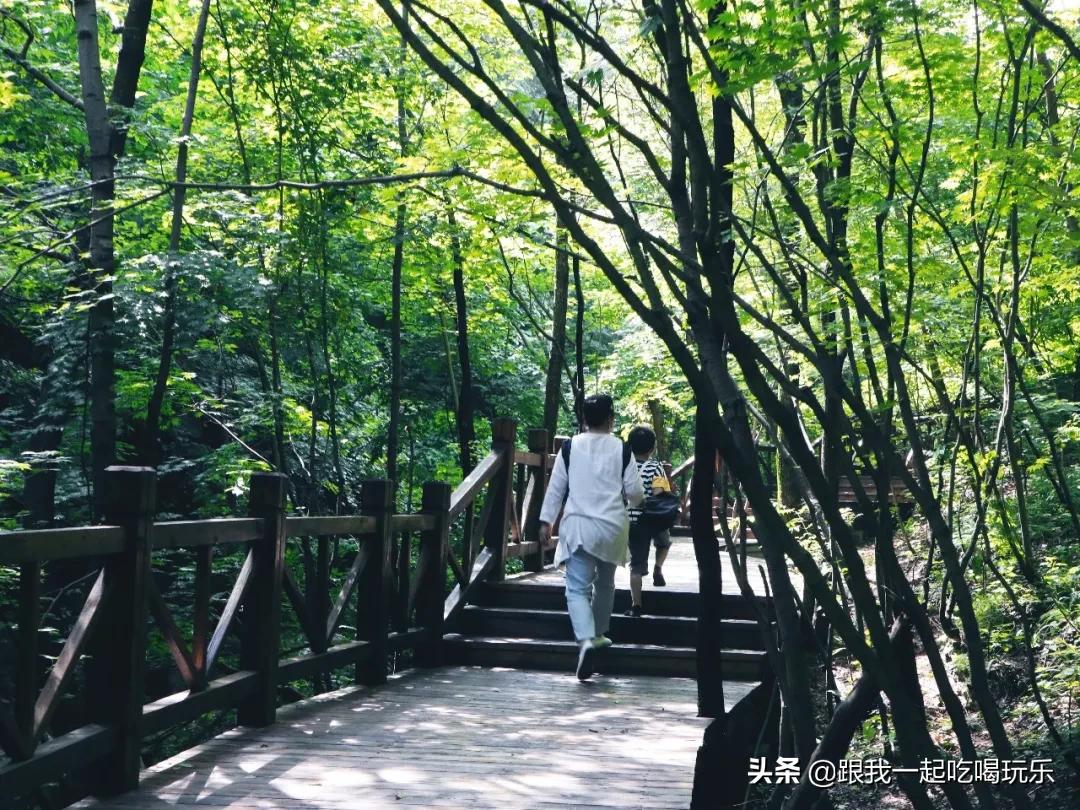 被中外地质学家誉为“地质摇篮”“地学殿堂”原来就在辽宁