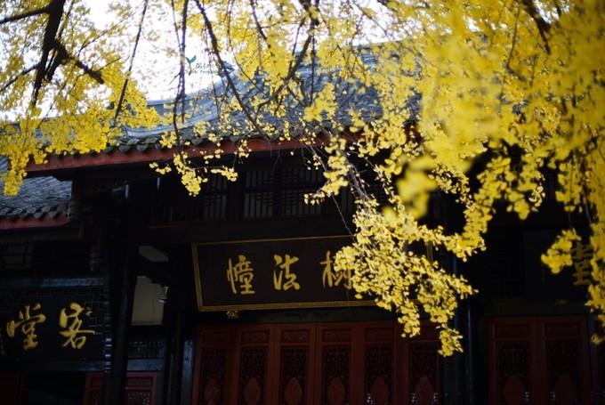 缇ゅ厜鍚涙偊,缇ゅ厜鍚涙偊閰掑簵澶滄櫙