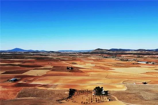 行走的老钱：私奔去浪漫的“两牙”