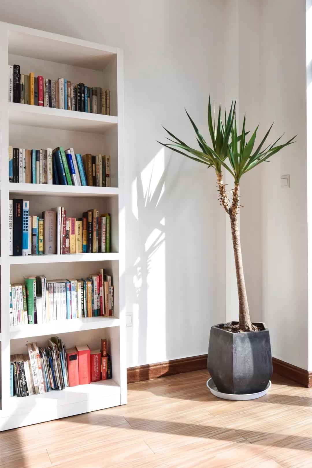 藏在千岛湖的神仙民宿,千岛湖这里藏着一家超美民宿