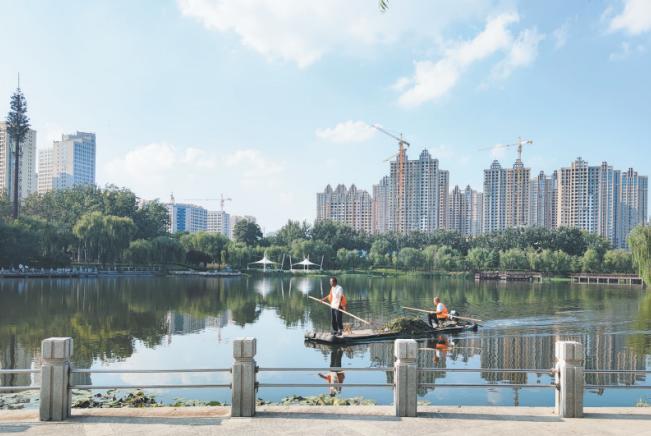 奋起直追创新高,奋起直追成为黑马