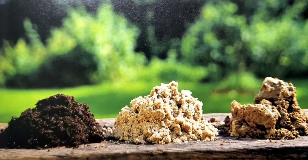 怎么测试花土ph值,怎么测花土的酸碱度