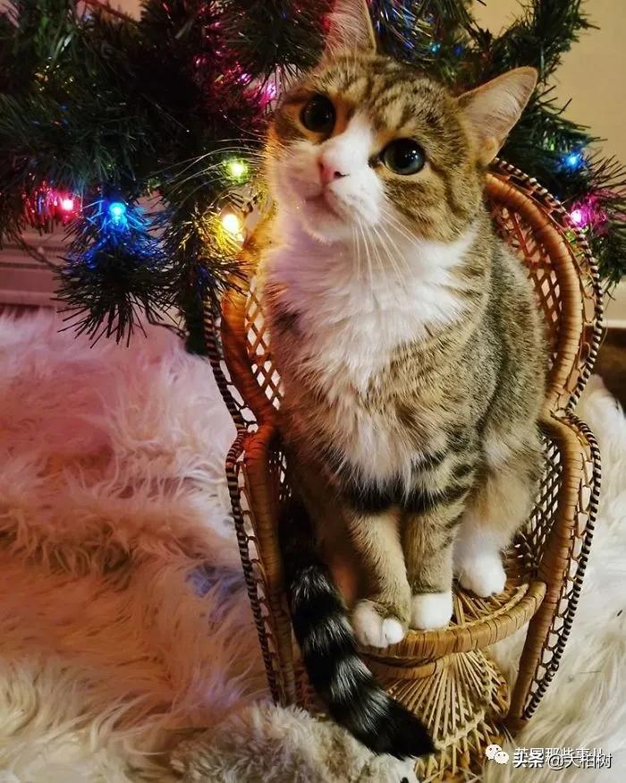 16个在旧货店淘到的酷炫物品,旧货店淘到的各种宝贝