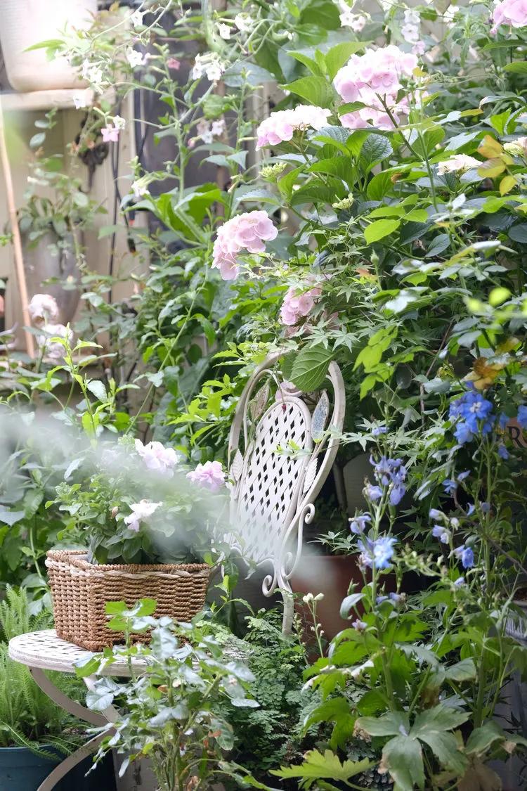 三年前买了套绿地110平三房130万,三年前耗资百万打造小院出售