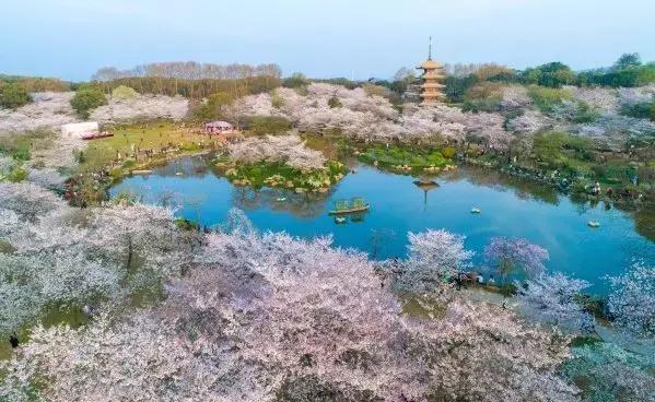 特步追梦,特步联名比赛