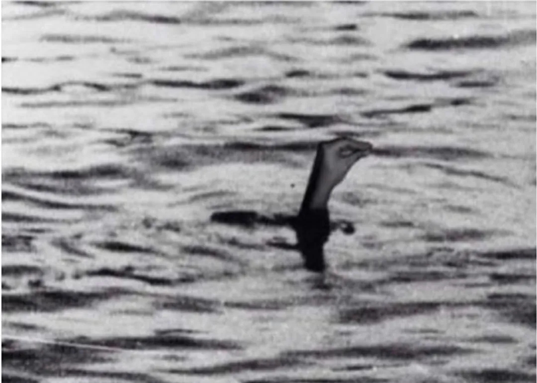 意大利人手势拳头放嘴巴上,意大利人喜欢做什么手势