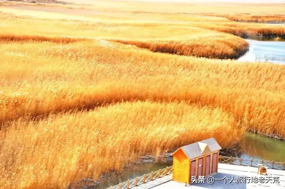 治愈系风景一辈子总要去一次新疆,去新疆的路上看不一样的风景