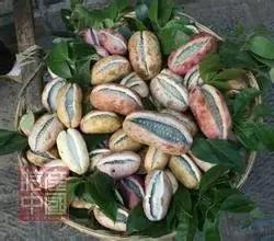 世界稀奇水果品种大全,世界热带奇特水果品种介绍