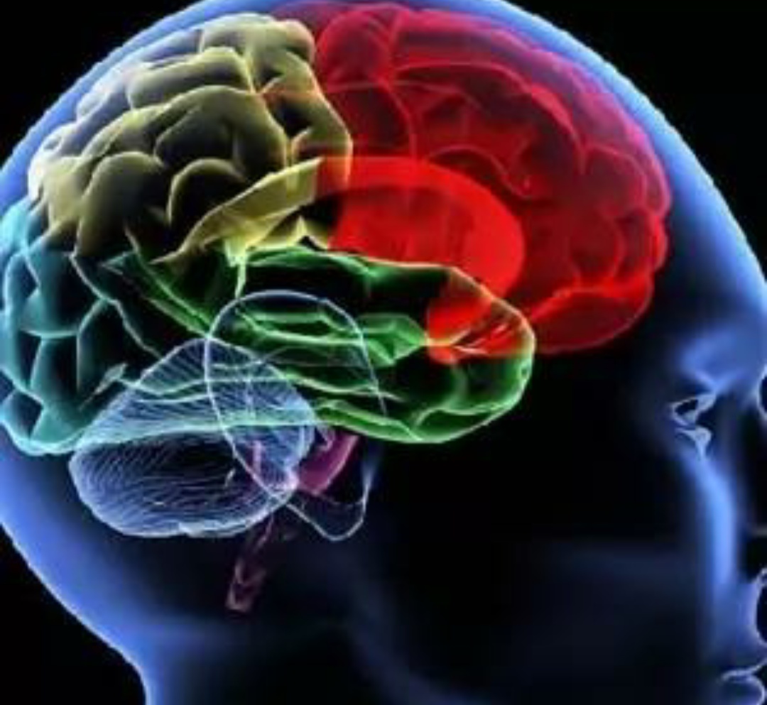 脑小血管病症状有哪些,专家讲解脑小血管病发病机制