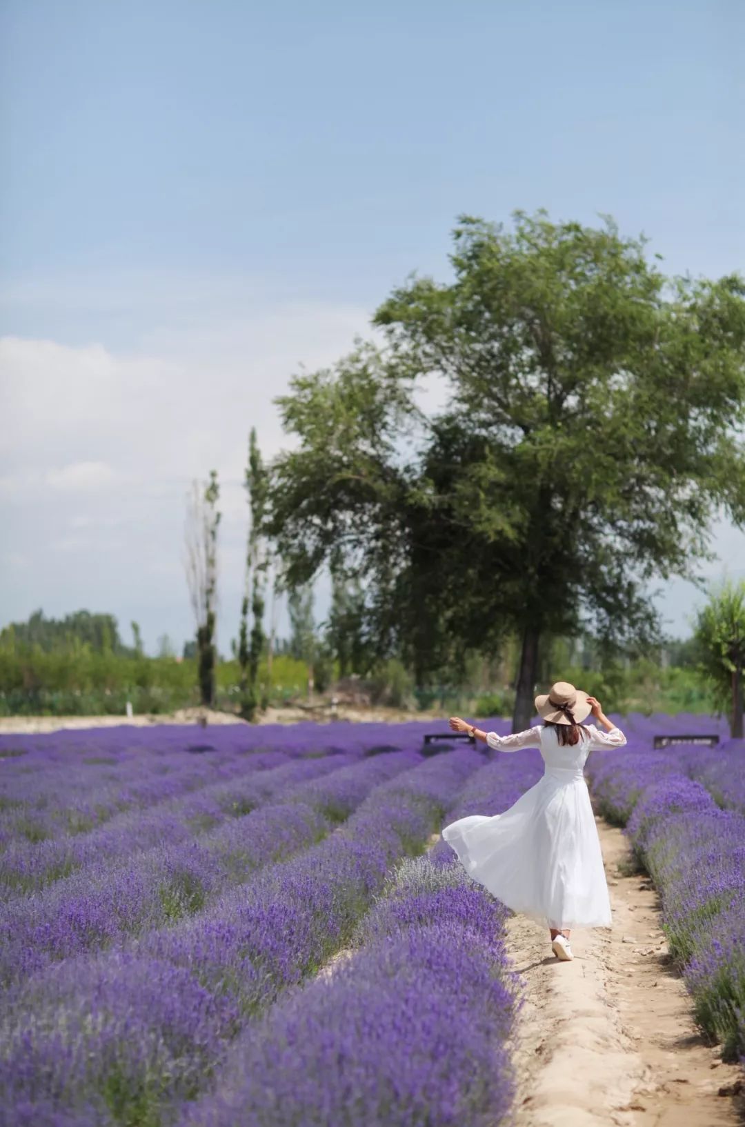 去过18次*疆新**的江南女子，用亲身经历告诉你，*疆新**究竟有多美