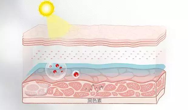 出血点形成的色斑,色斑是怎么形成的视频