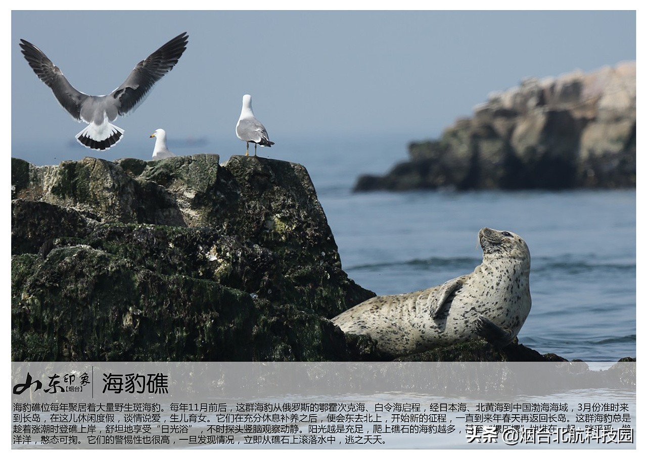 烟台游玩十大必去景点,烟台最坑人的三个景点