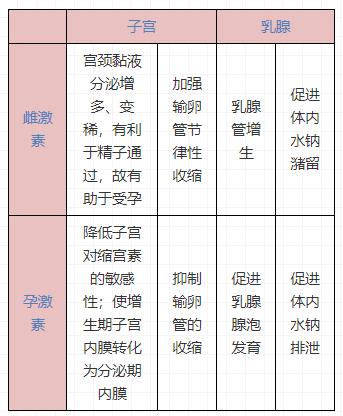 护考女性生理系统解剖学习技巧,女性生理解剖护考考点