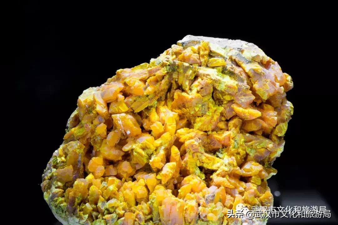 武汉奇特博物馆,武汉奇妙博物馆