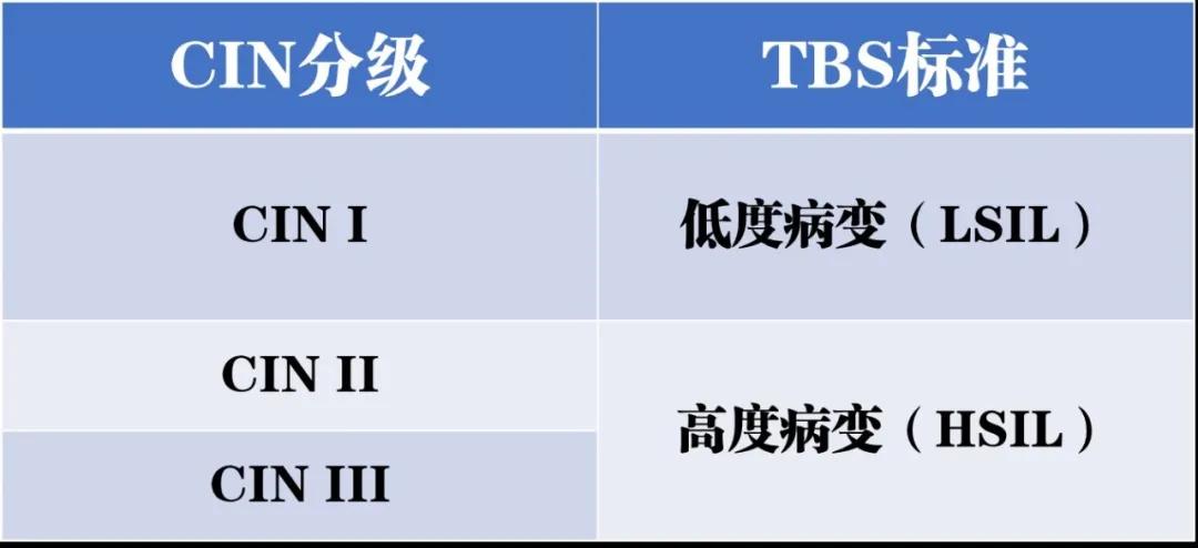 关于宫颈的那些谣言，你信过几个？——优秀科普作品展播