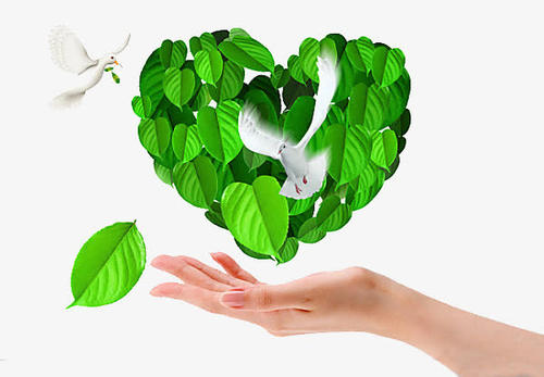 阿富汗是一个强大的国家吗,彻底了解阿富汗