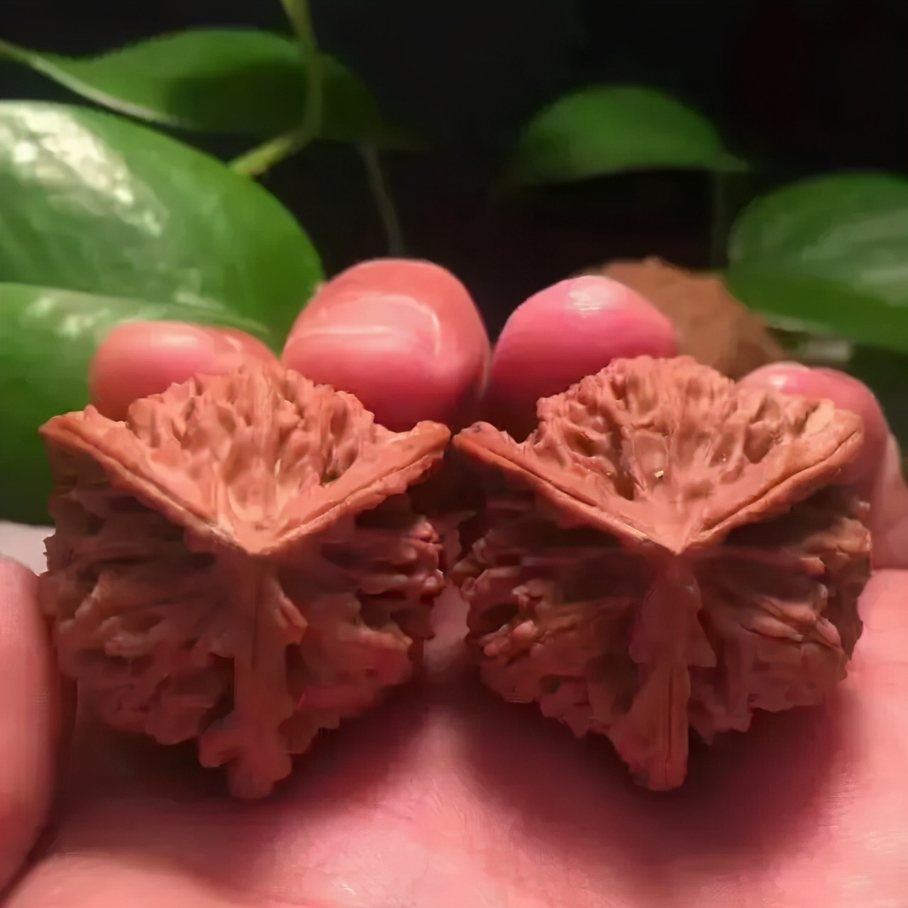 核桃如何盘得油光发亮,新手盘核桃如何让它快速上色