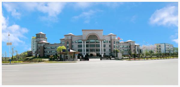 唐人神集团领导班子,唐人神集团财务总监