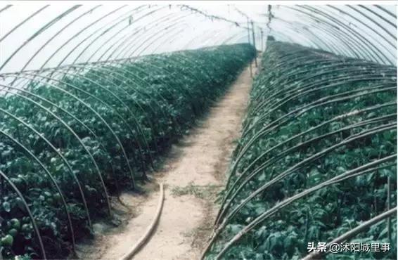 沭阳区划历史,沭阳原来有哪些乡镇