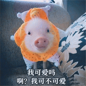 5分钟学会ppt动画,ppt怎么转换为pptx格式