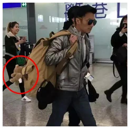 王菲谢霆锋合体想谈什么样的恋爱,王菲谢霆锋一反常态高调秀恩爱