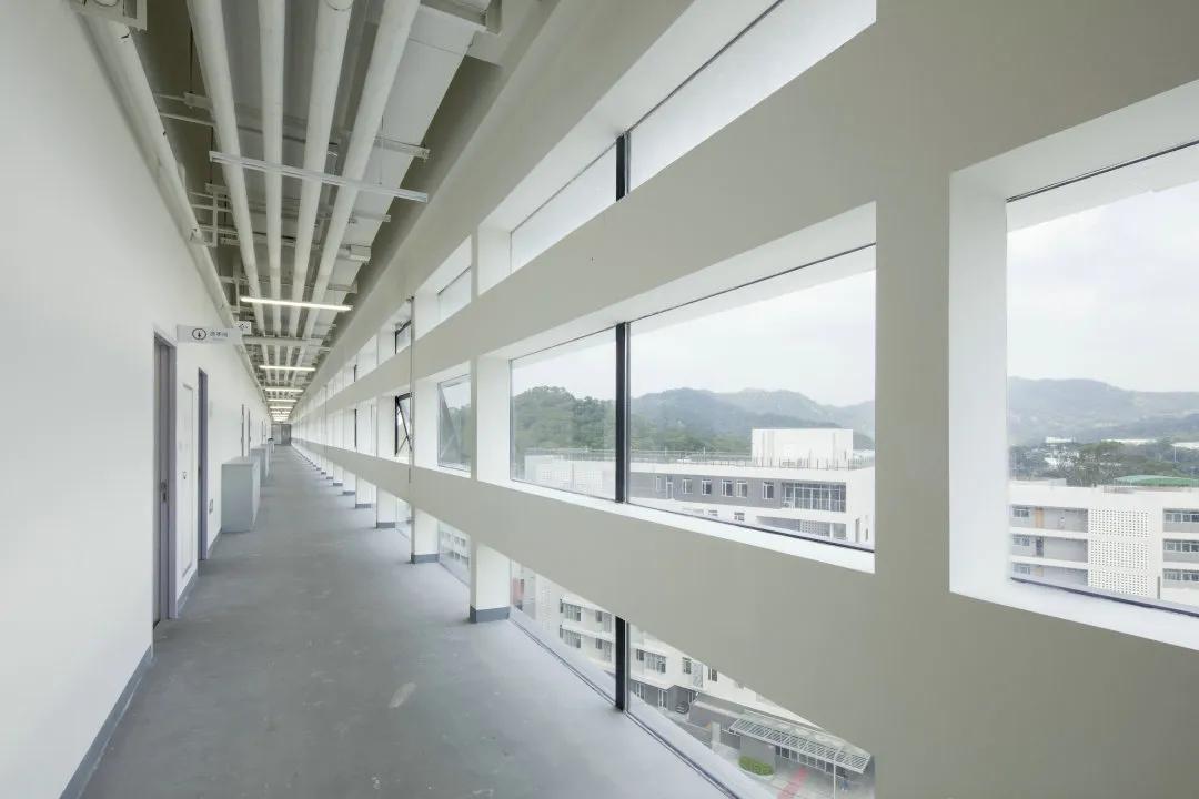 竖向堆叠的医疗之环：汕头大学新医学院