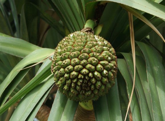 文末有福利｜带着Ta，来到这家坐拥7km的海岸线酒店