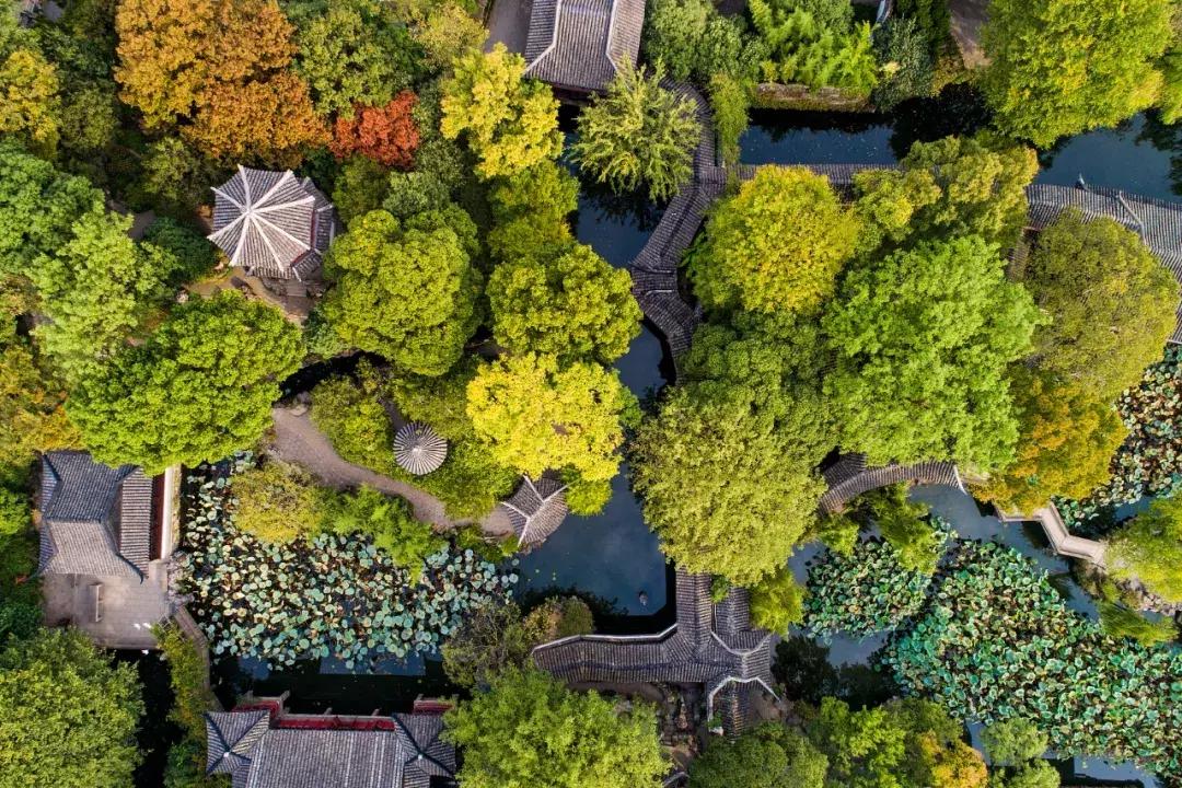 一读就错的100个常见字,100个一读就错的绕口令