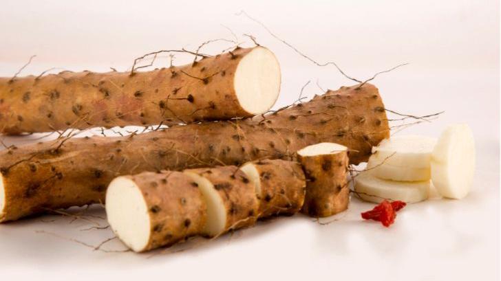 山药汤怎么做最养脾胃成人,秋天山药煲什么汤补脾胃肝肾