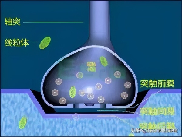 小学生学习效率低慢,孩子学习速度慢如何提高效率