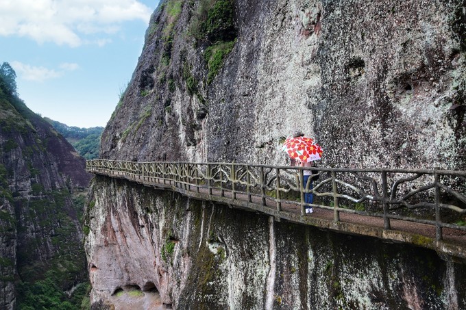 梅州采茶,梅州采茶体验