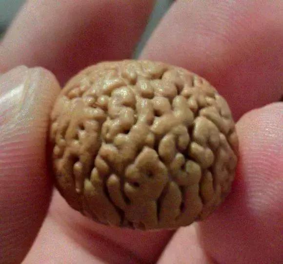 脑纹桃核手串的正确盘法,脑纹桃核怎么挑选