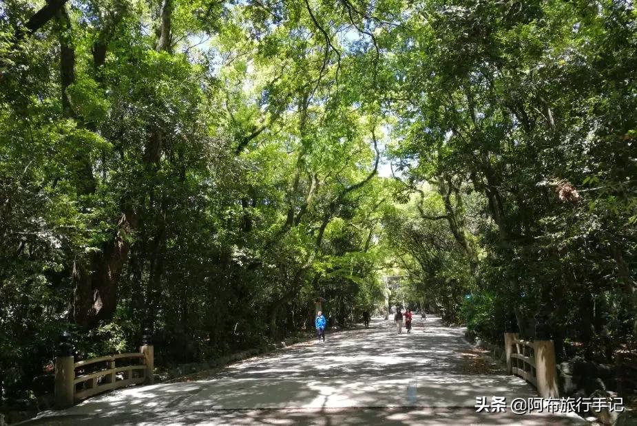 名古屋隐藏美食,日本名古屋有什么好吃的