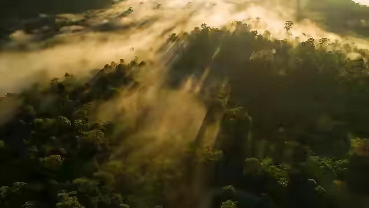 婆罗洲丛林危险,夜宿深山老林防野兽袭击