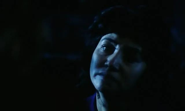 可惜没在中国上映的电影,李冰冰05年电影