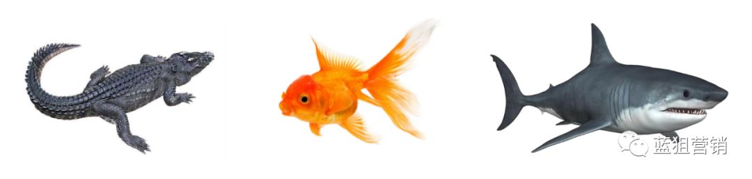 破局思维打造爆款产品的方法论,互联网平台哪些产品易成为爆款