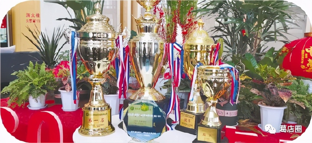 鄂州市葛店开发区“草根足球队”夺冠记