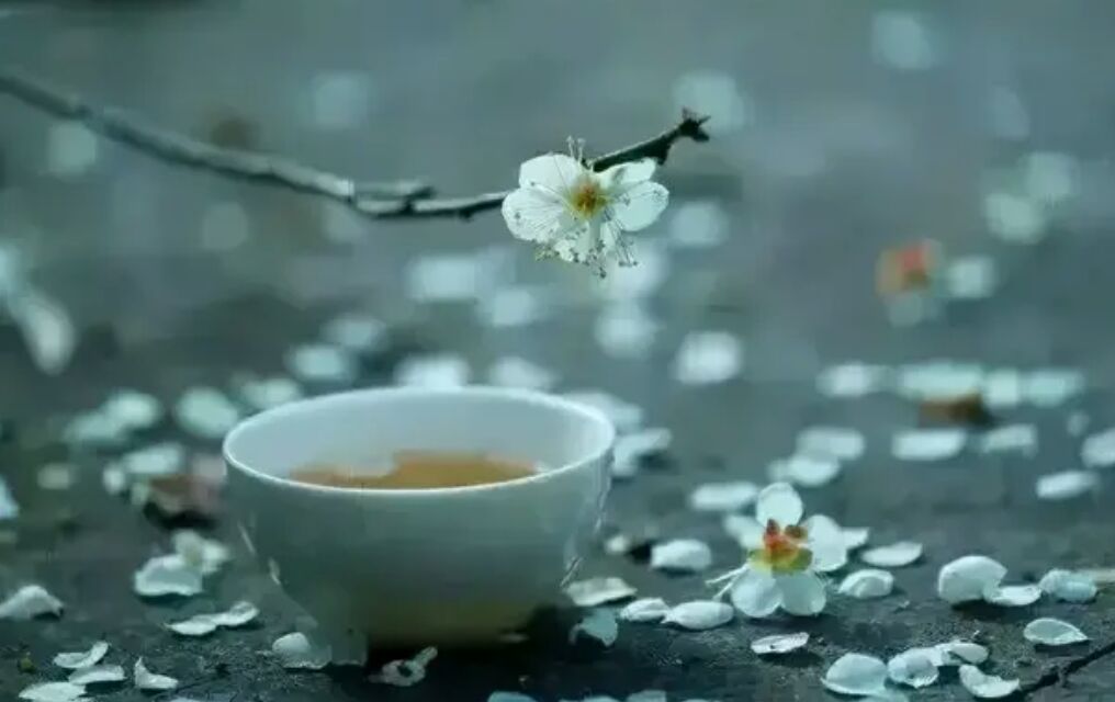 看脚治病,看脚相诊病